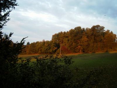 Fall Is In The Air Image